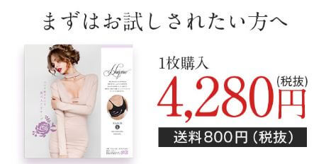 ハグミー お試し 値段 4280円